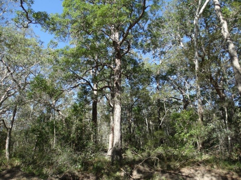 Lot 74 Mitchell Road, Mount Maria QLD 4674