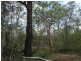 Lot 74 Mitchell Road, Mount Maria QLD 4674