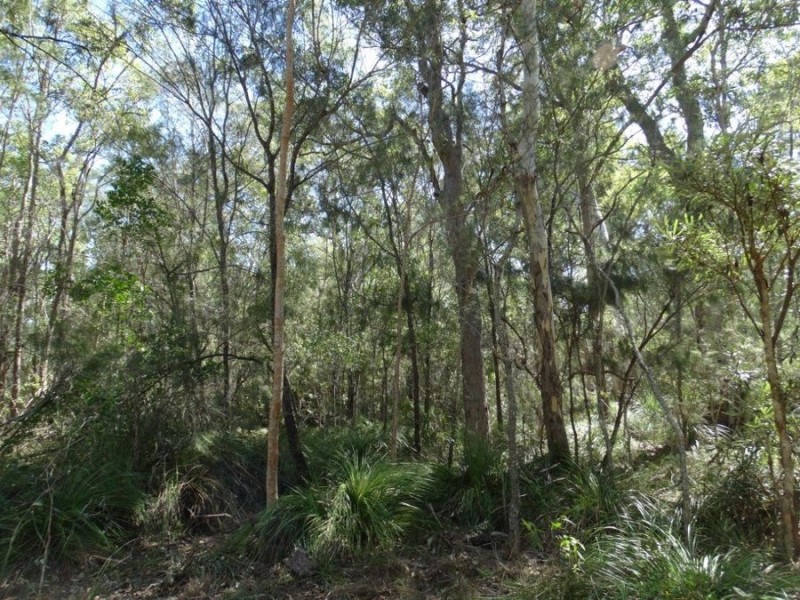 Lot 74 Mitchell Road, Mount Maria QLD 4674