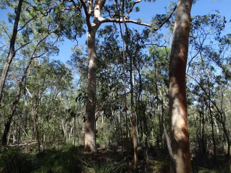 Lot 74 Mitchell Road, Mount Maria QLD 4674