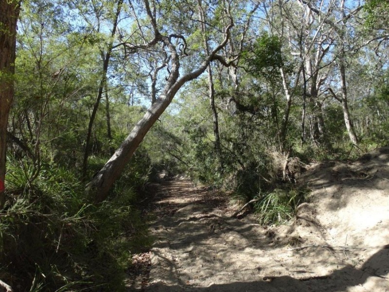 Lot 74 Mitchell Road, Mount Maria QLD 4674