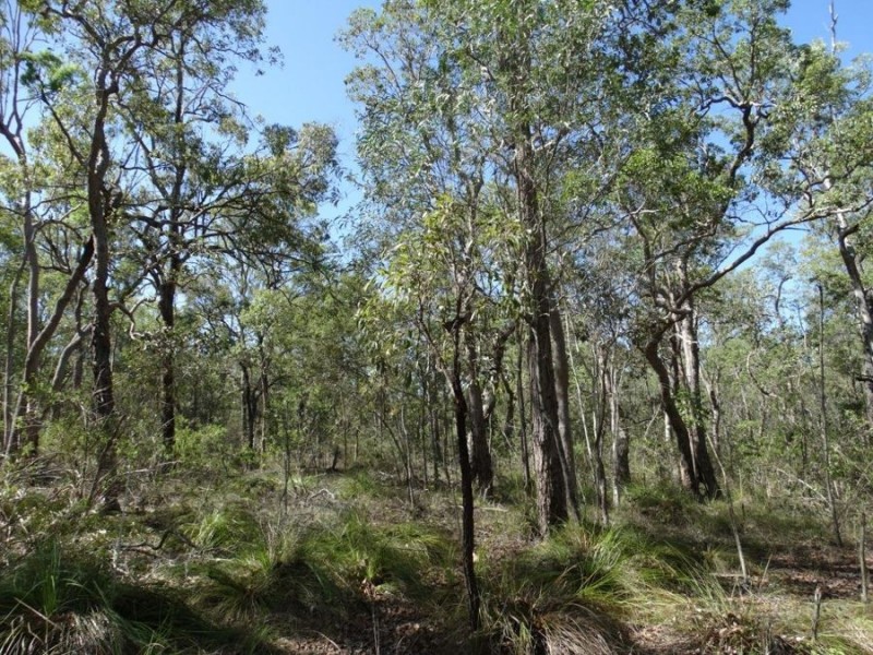 Lot 74 Mitchell Road, Mount Maria QLD 4674