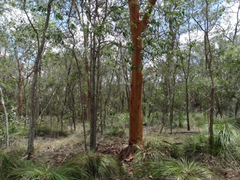 Lot 74 Mitchell Road, Mount Maria QLD 4674