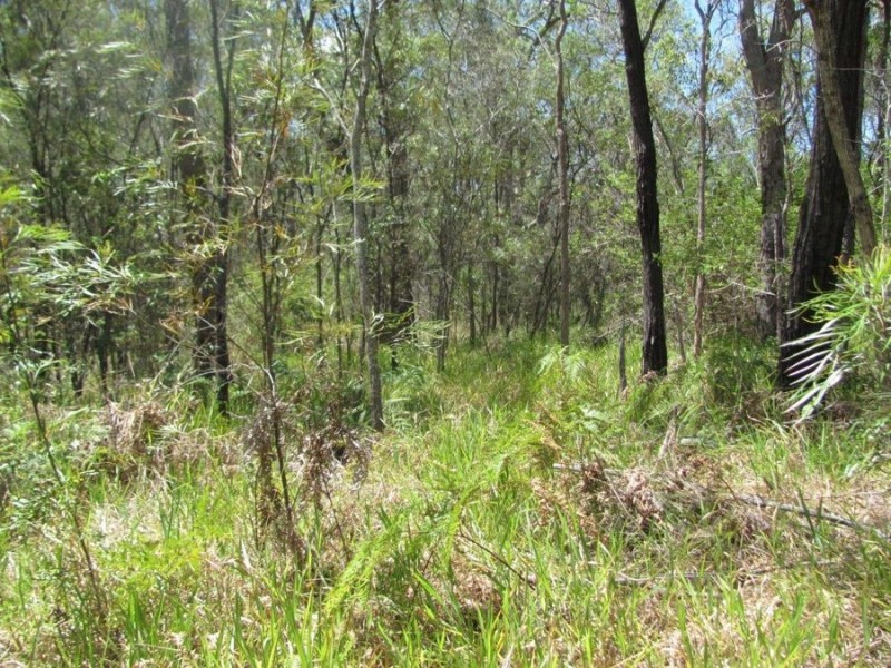 Lot 74 Mitchell Road, Mount Maria QLD 4674