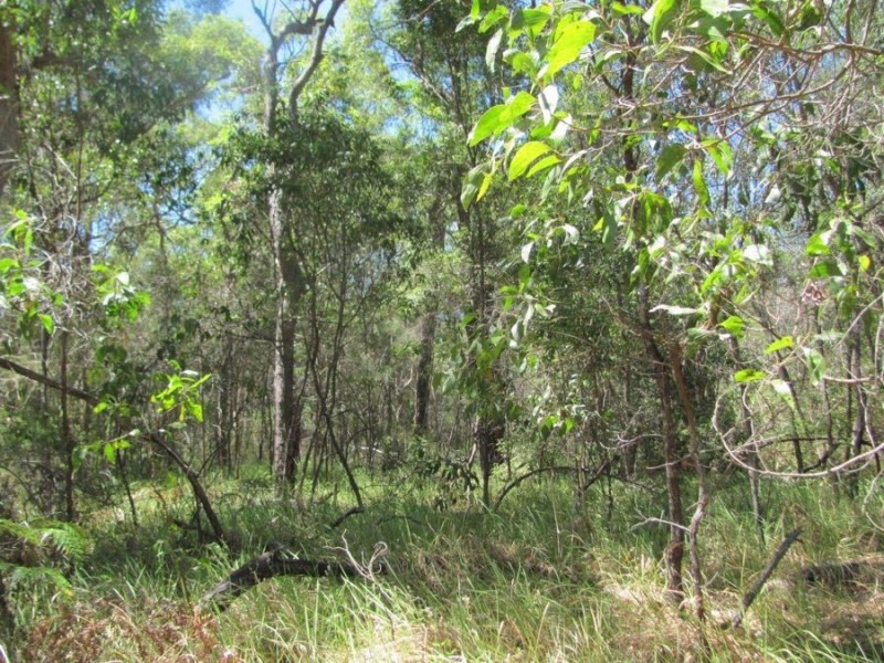 Lot 74 Mitchell Road, Mount Maria QLD 4674