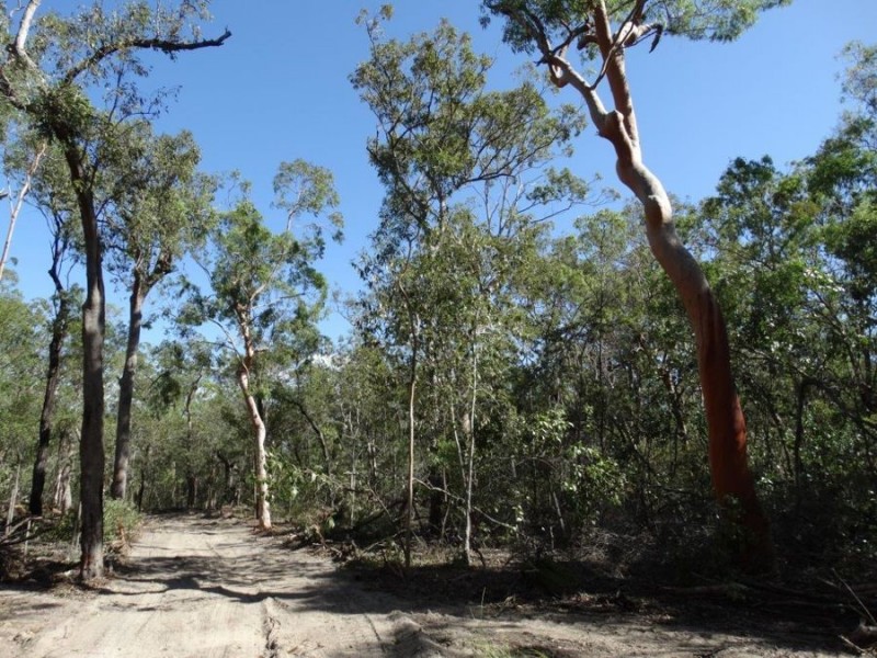 Lot 74 Mitchell Road, Mount Maria QLD 4674