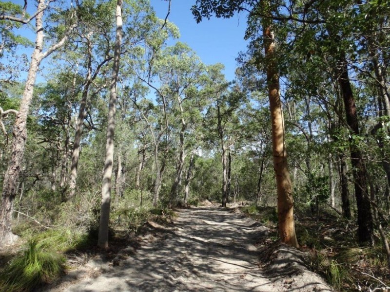 Lot 74 Mitchell Road, Mount Maria QLD 4674