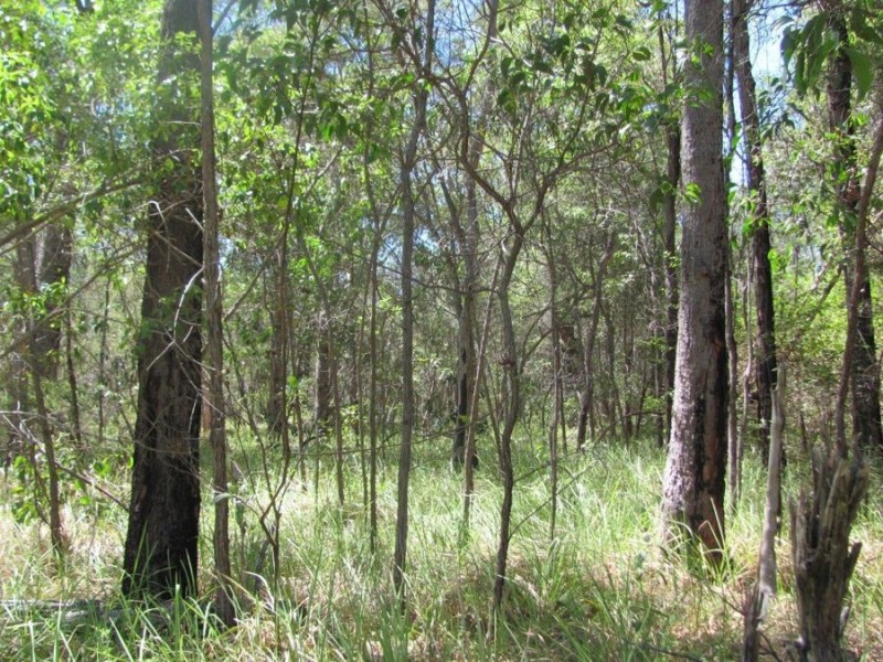 Lot 74 Mitchell Road, Mount Maria QLD 4674