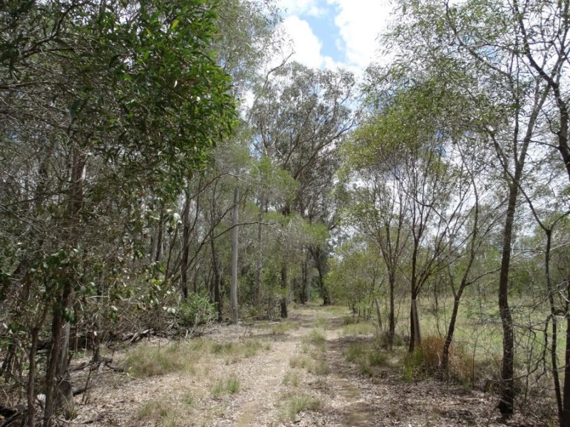 Lot 3 Oyster Creek Road, Oyster Creek QLD 4674