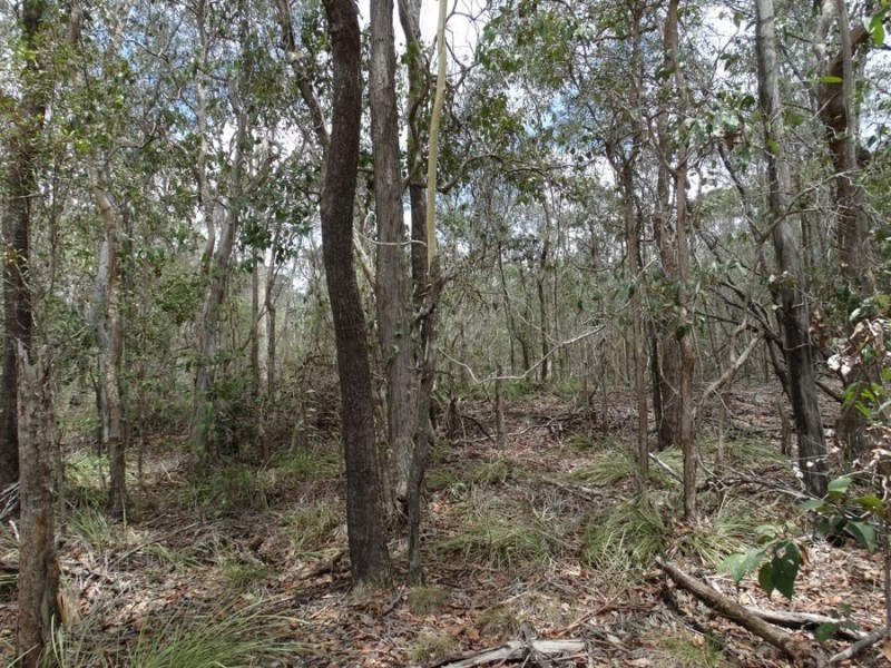 Lot 3 Oyster Creek Road, Oyster Creek QLD 4674