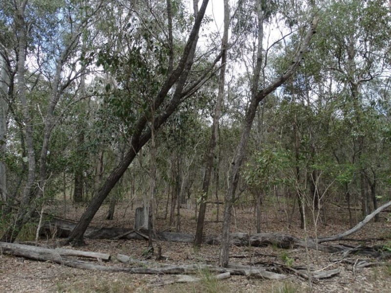Lot 3 Oyster Creek Road, Oyster Creek QLD 4674