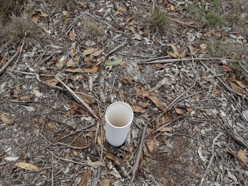 Lot 3 Oyster Creek Road, Oyster Creek QLD 4674