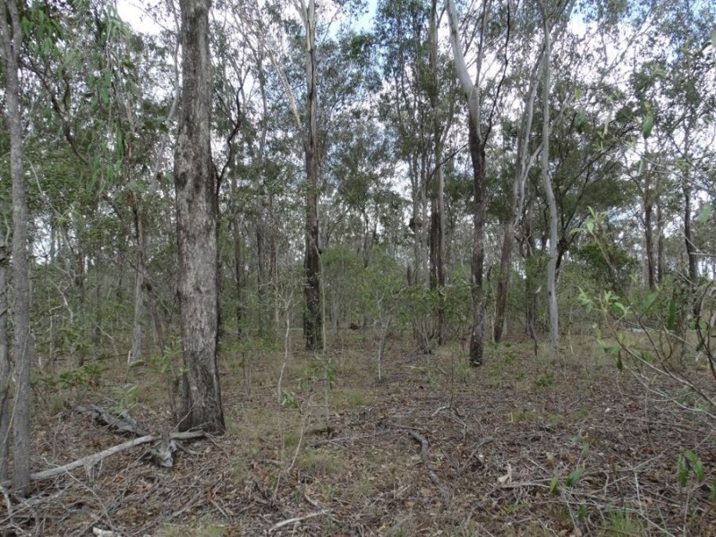 Lot 3 Oyster Creek Road, Oyster Creek QLD 4674