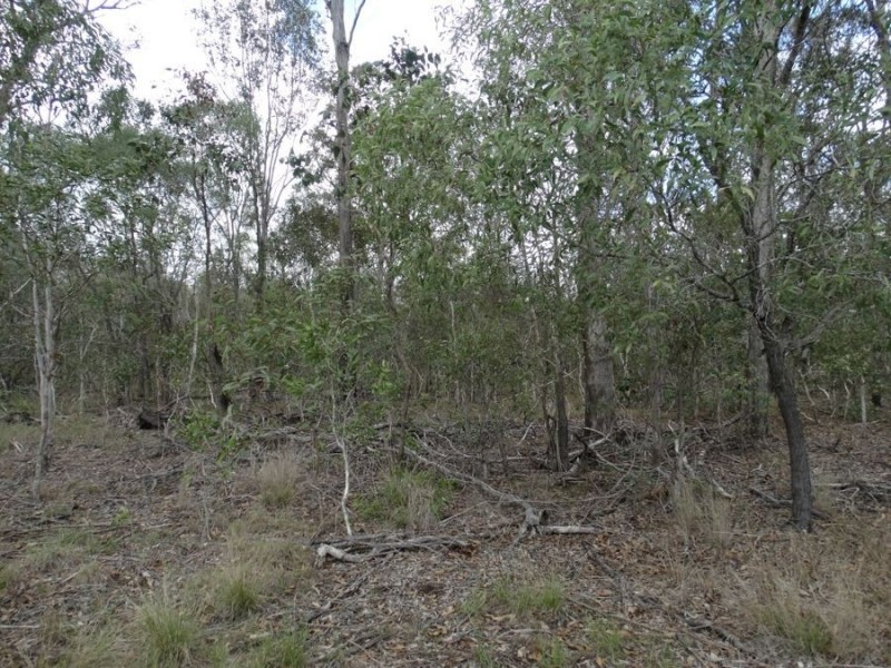 Lot 3 Oyster Creek Road, Oyster Creek QLD 4674