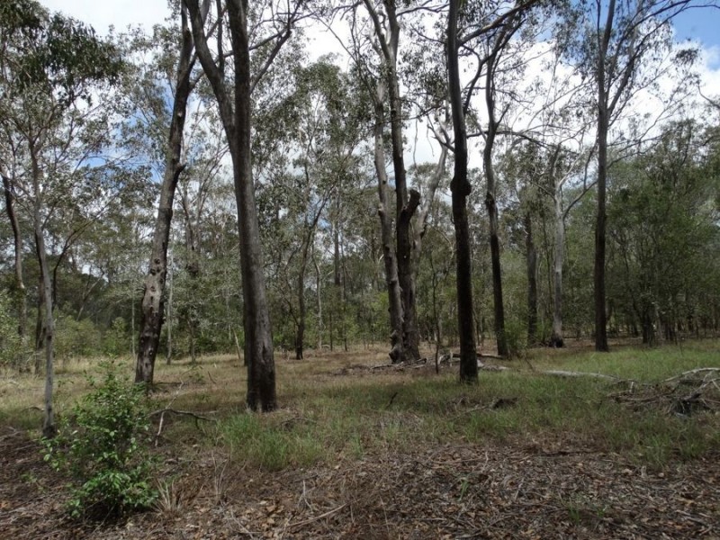 Lot 3 Oyster Creek Road, Oyster Creek QLD 4674