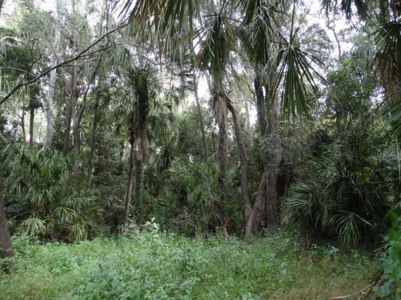 3727 Lowmead Road, Lowmead QLD 4676