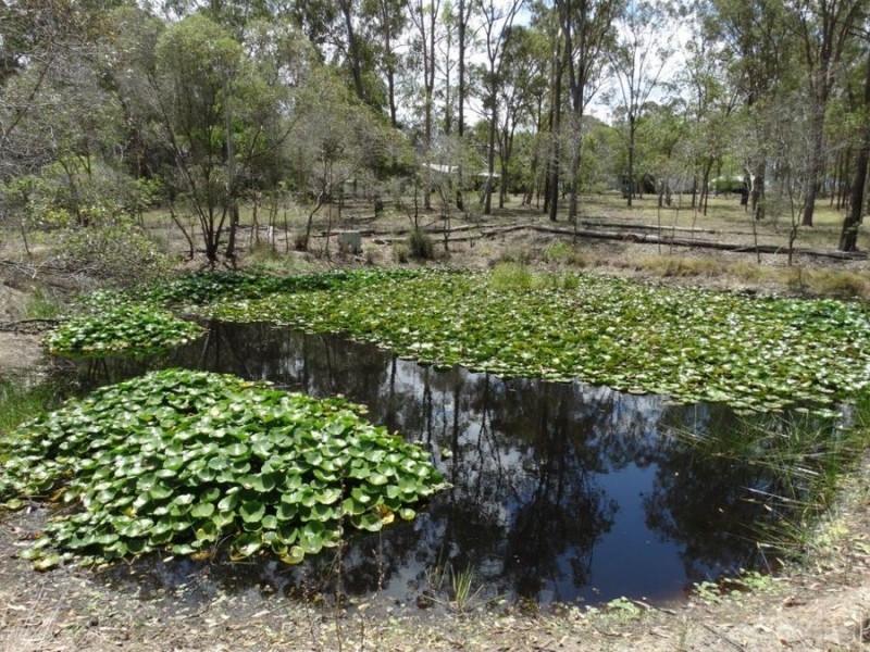 5 Petersens Road, Yandaran QLD 4673