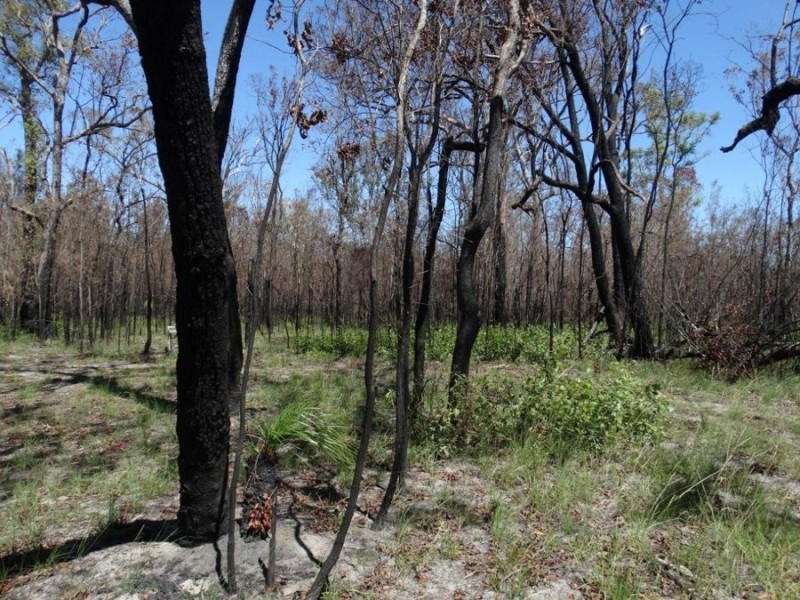 Lot 32 Matchbox Road, Deepwater QLD 4674