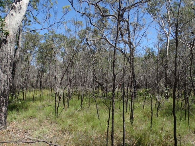 Lot 32 Matchbox Road, Deepwater QLD 4674