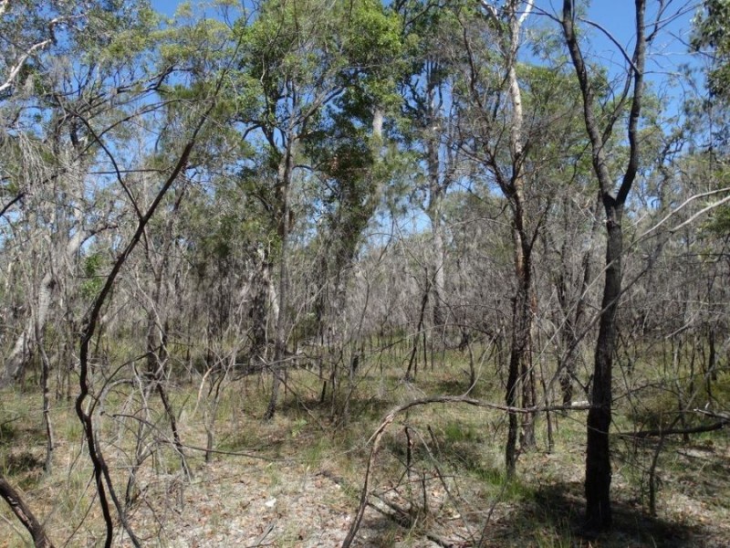 Lot 32 Matchbox Road, Deepwater QLD 4674