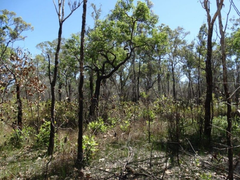 Lot 32 Matchbox Road, Deepwater QLD 4674