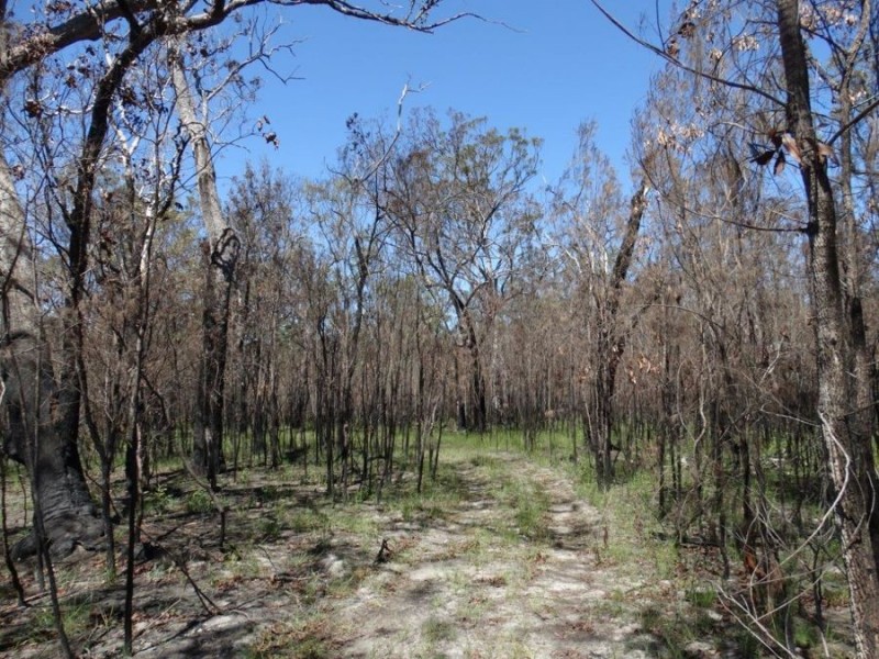 Lot 32 Matchbox Road, Deepwater QLD 4674