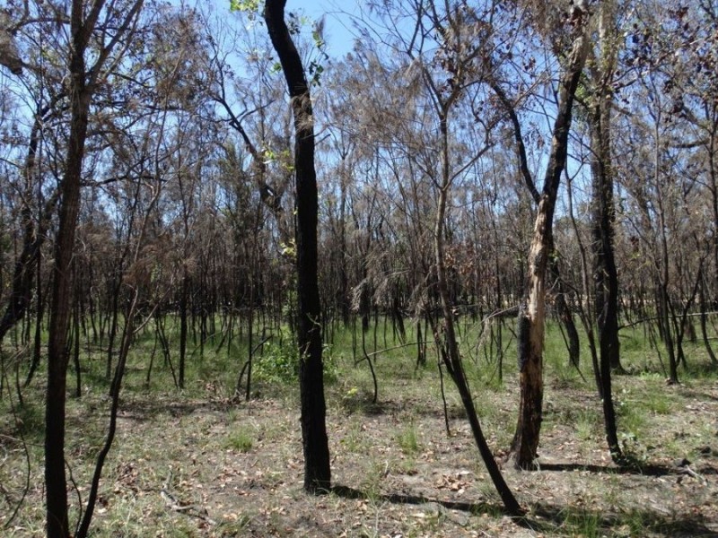 Lot 32 Matchbox Road, Deepwater QLD 4674