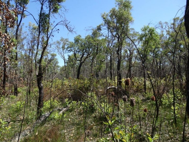 Lot 32 Matchbox Road, Deepwater QLD 4674