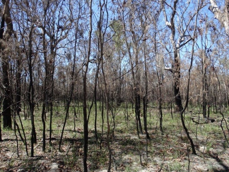 Lot 32 Matchbox Road, Deepwater QLD 4674