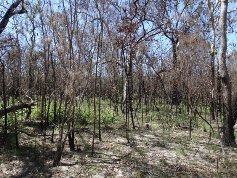 Lot 32 Matchbox Road, Deepwater QLD 4674