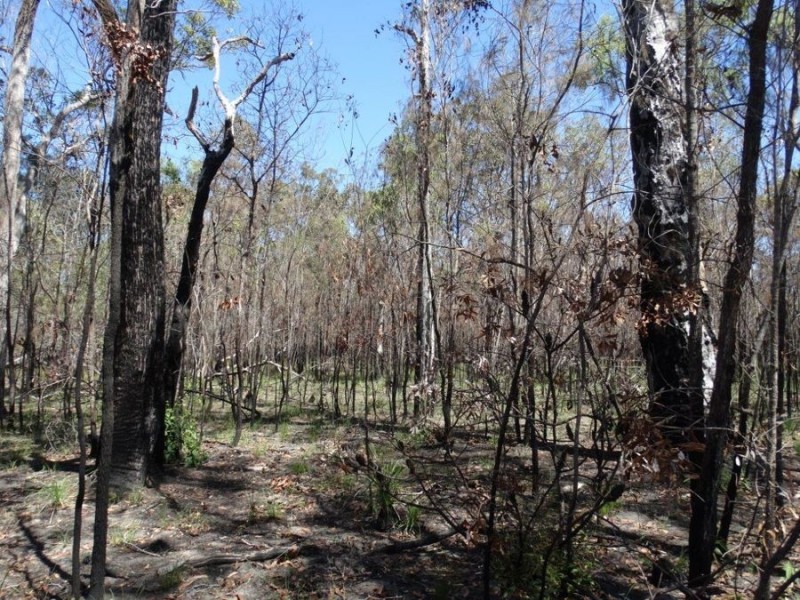 Lot 32 Matchbox Road, Deepwater QLD 4674