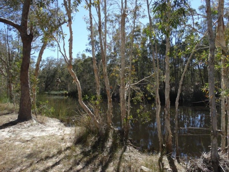 99 Deepwater Road, Deepwater QLD 4674