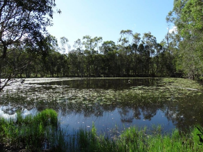 1016 Monduran Road, Yandaran QLD 4673