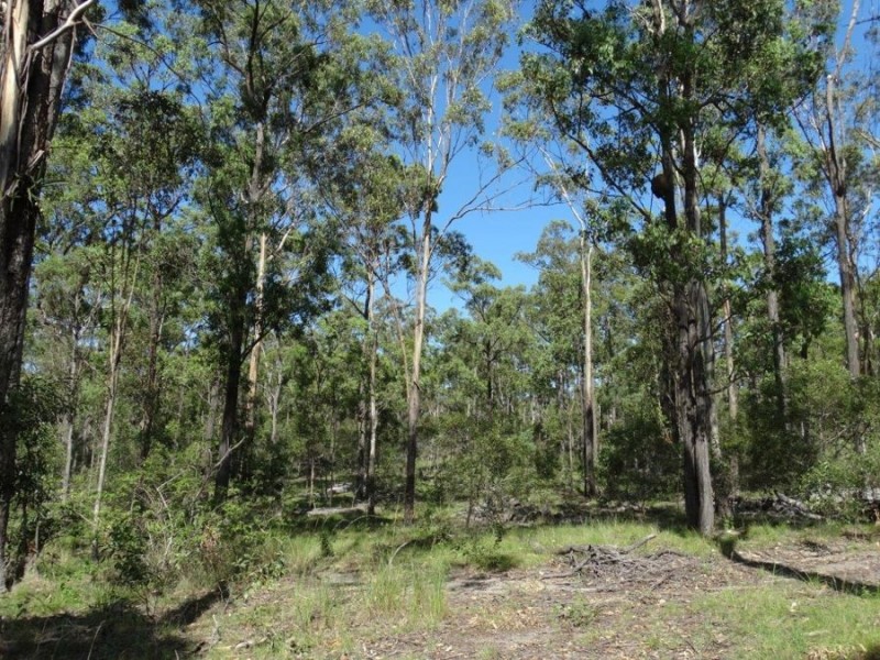 1016 Monduran Road, Yandaran QLD 4673