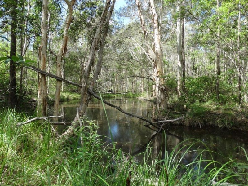 1016 Monduran Road, Yandaran QLD 4673