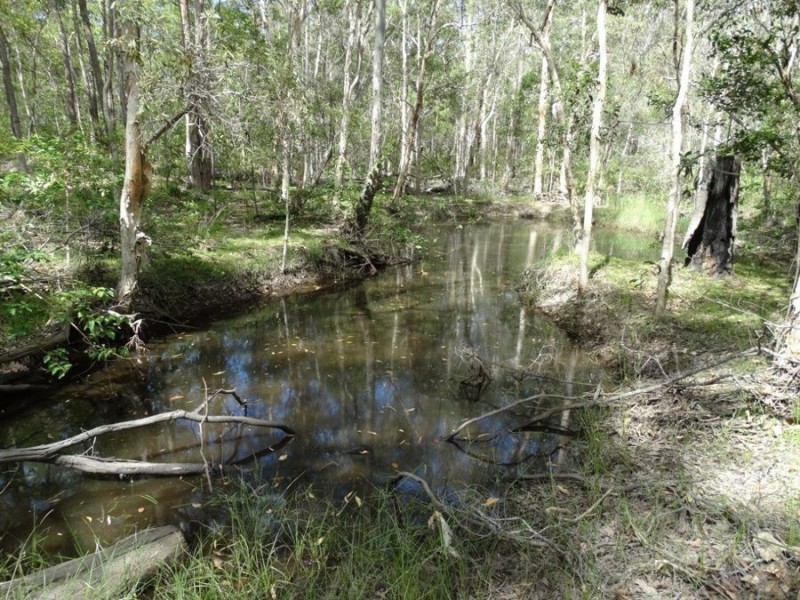 1016 Monduran Road, Yandaran QLD 4673