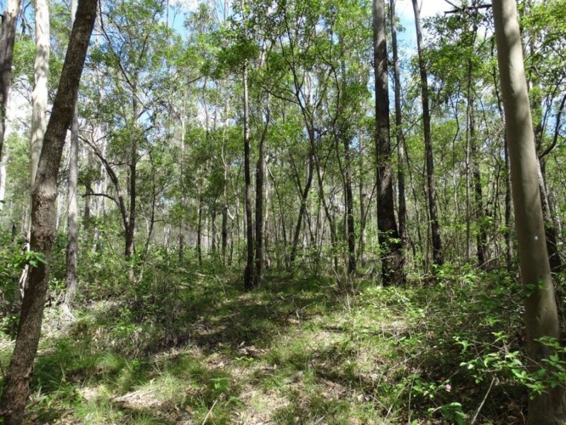 1016 Monduran Road, Yandaran QLD 4673