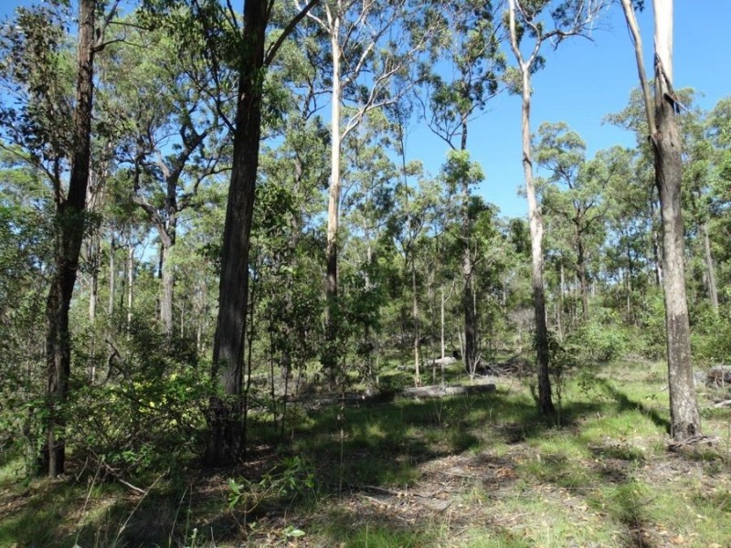 1016 Monduran Road, Yandaran QLD 4673