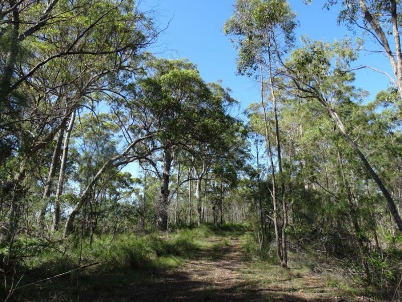 1016 Monduran Road, Yandaran QLD 4673