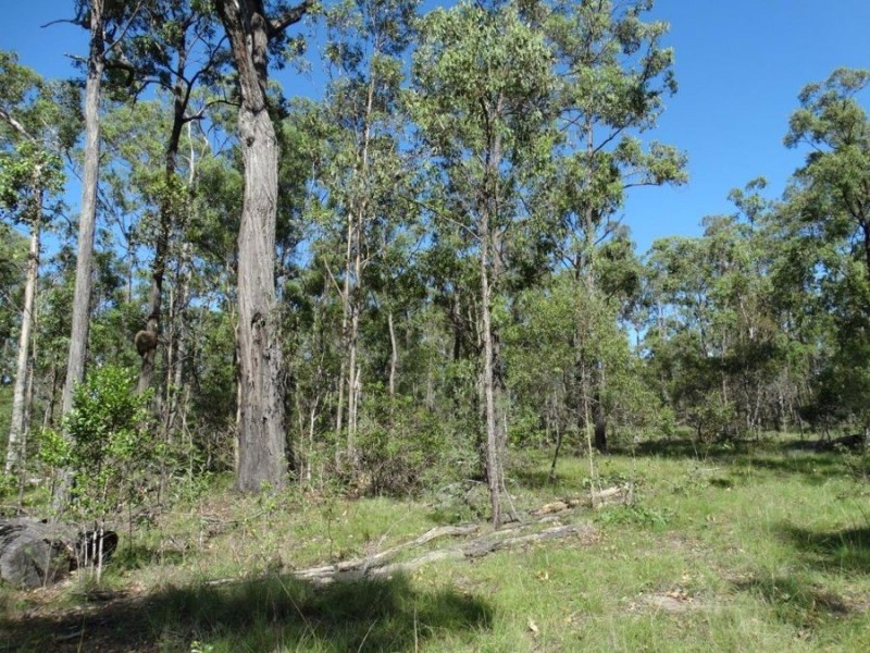 1016 Monduran Road, Yandaran QLD 4673