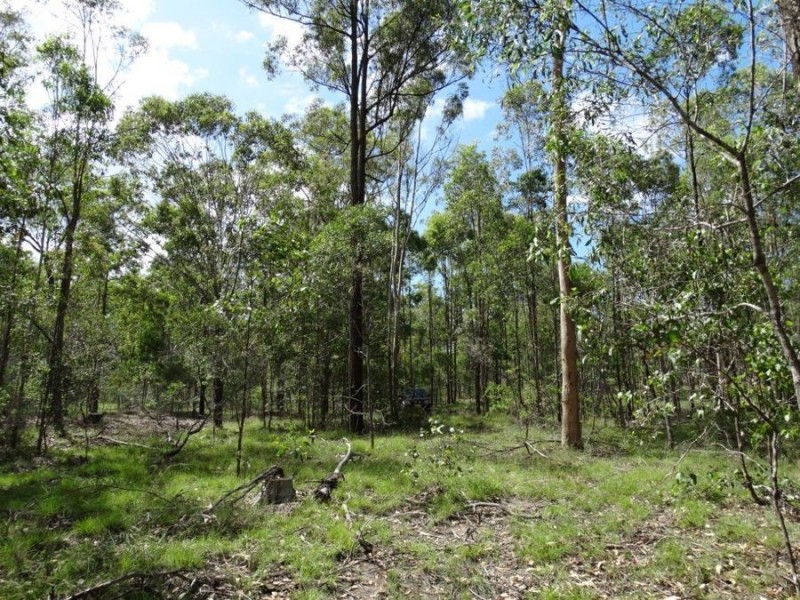 1016 Monduran Road, Yandaran QLD 4673