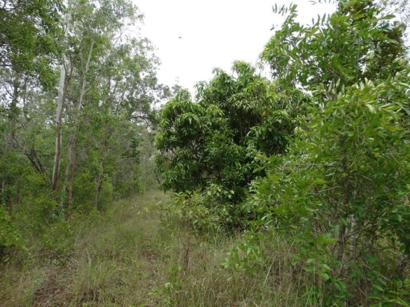 1845 Tableland Road, Mount Maria QLD 4674