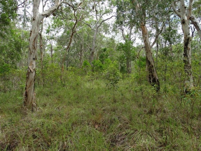 1845 Tableland Road, Mount Maria QLD 4674