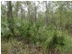1845 Tableland Road, Mount Maria QLD 4674