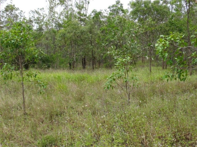 1845 Tableland Road, Mount Maria QLD 4674