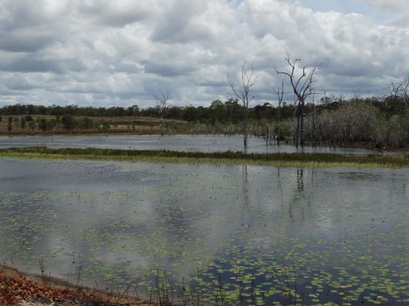 335 Winfield Road, Watalgan QLD 4670