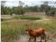 335 Winfield Road, Watalgan QLD 4670