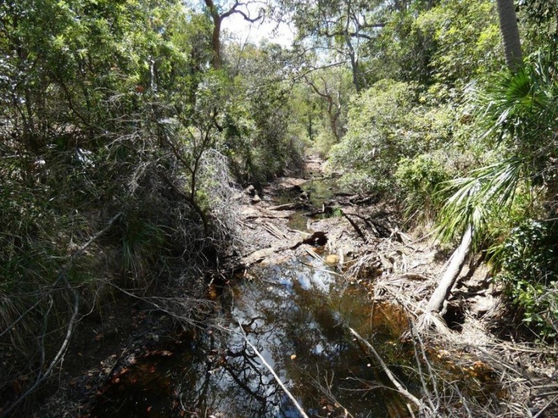 Lot 44 Tableland Road, Mount Maria QLD 4674