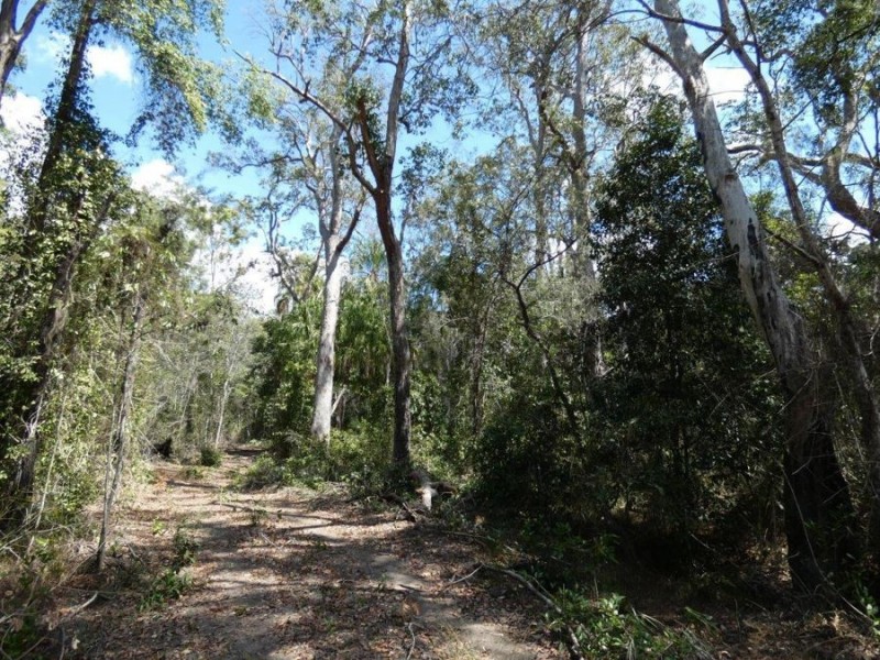 Lot 44 Tableland Road, Mount Maria QLD 4674