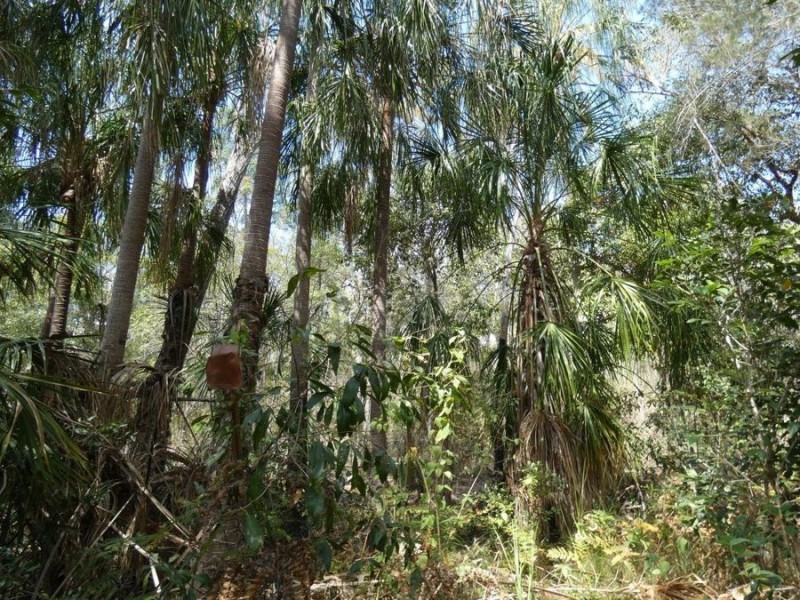 Lot 44 Tableland Road, Mount Maria QLD 4674